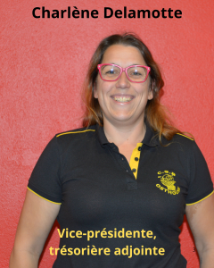CSBO-Comite-3
